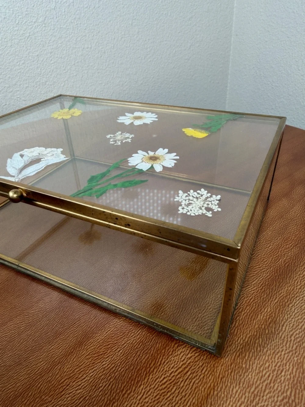 Vintage dried pressed